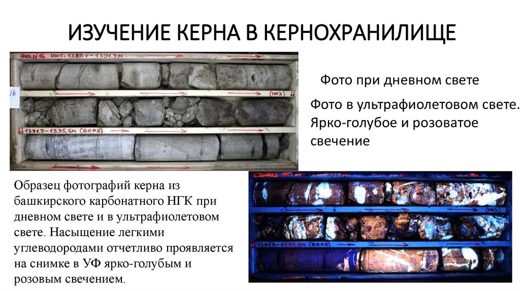Изучение керна в кернохранилище