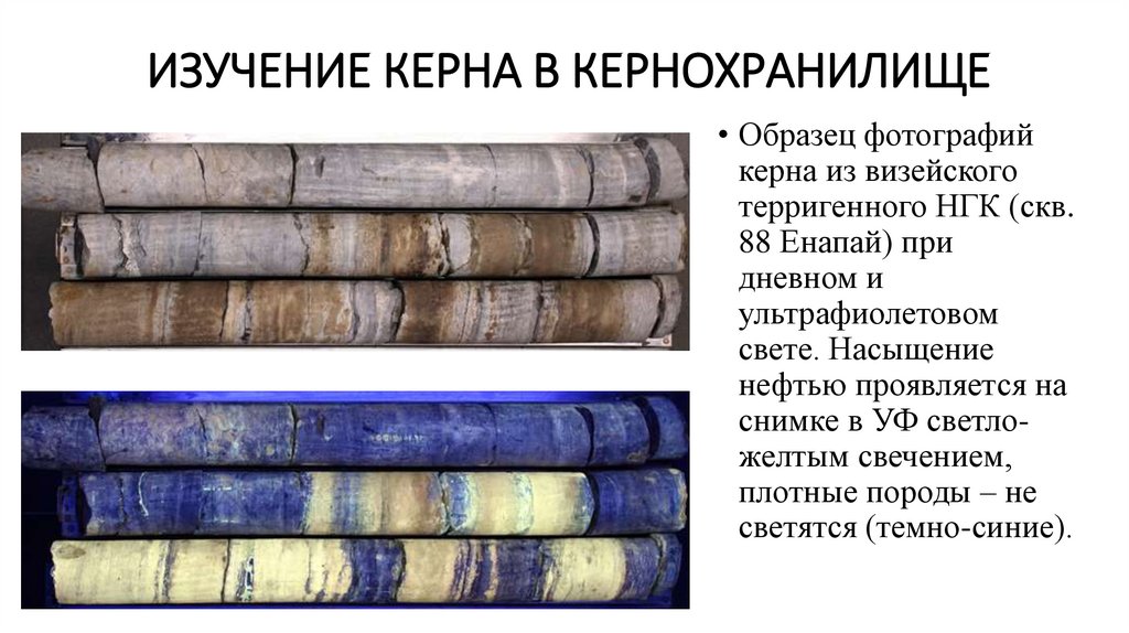 Изучение керна в кернохранилище
