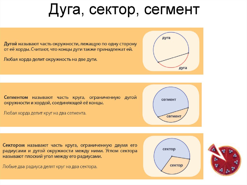 Дуга, сектор, сегмент