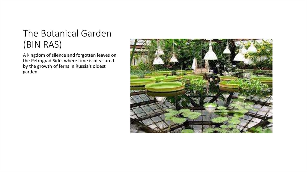 The Botanical Garden (BIN RAS)