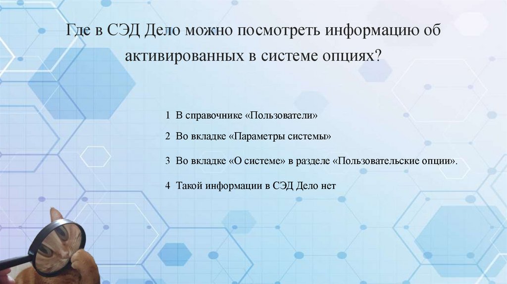 Где в СЭД Дело можно посмотреть информацию об активированных в системе опциях?