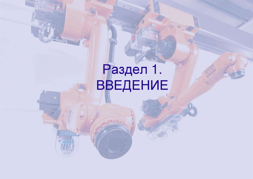 Раздел 1. ВВЕДЕНИЕ