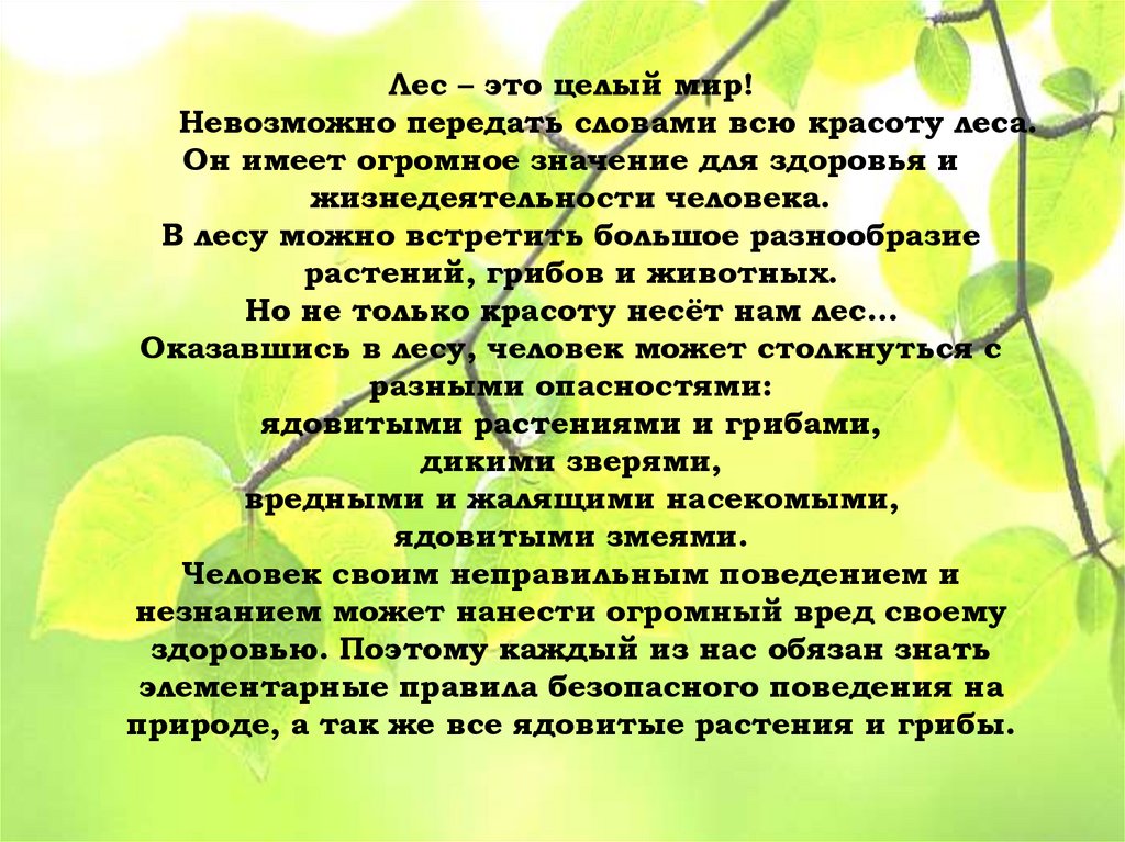 Лес – это целый мир! Невозможно передать словами всю красоту леса. Он имеет огромное значение для здоровья и жизнедеятельности