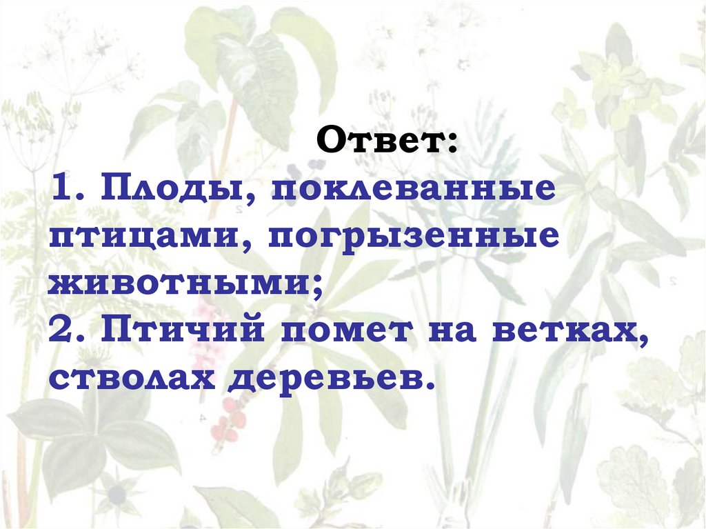 Ответ: 1. Плоды, поклеванные птицами, погрызенные животными; 2. Птичий помет на ветках, стволах деревьев.