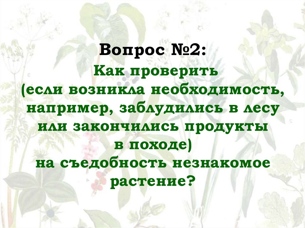 Вопрос №2: Как проверить (если возникла необходимость, например, заблудились в лесу или закончились продукты в походе) на