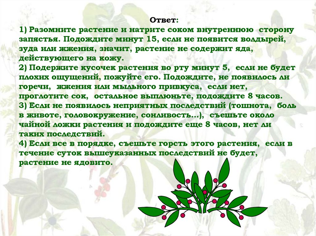 Ответ: 1) Разомните растение и натрите соком внутреннюю сторону запястья. Подождите минут 15, если не появится волдырей, зуда