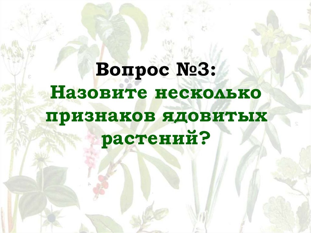 Вопрос №3: Назовите несколько признаков ядовитых растений?