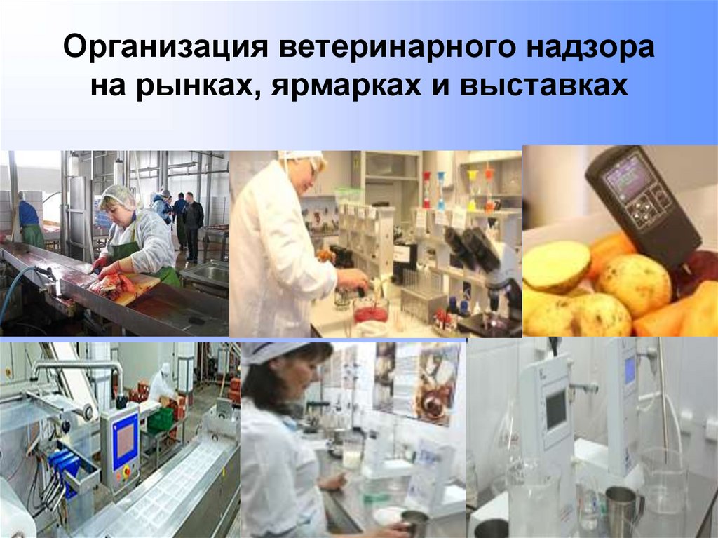 Организация ветеринарного надзора на рынках, ярмарках и выставках
