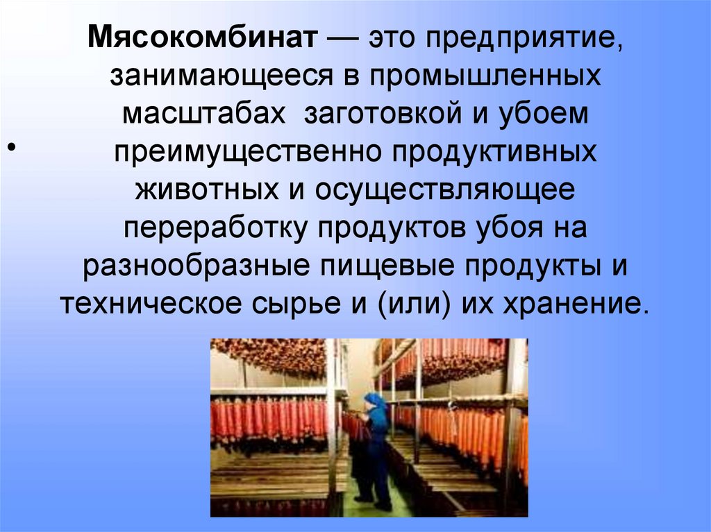 Мясокомбинат — это предприятие, занимающееся в промышленных масштабах заготовкой и убоем преимущественно продуктивных животных