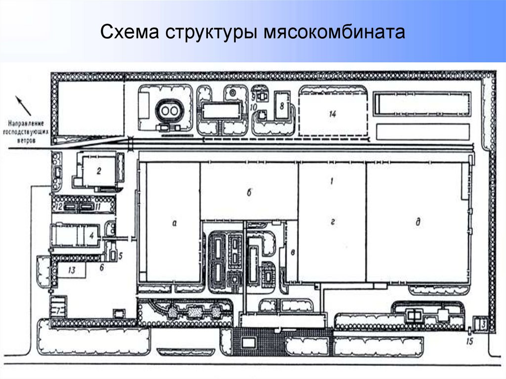 Схема структуры мясокомбината