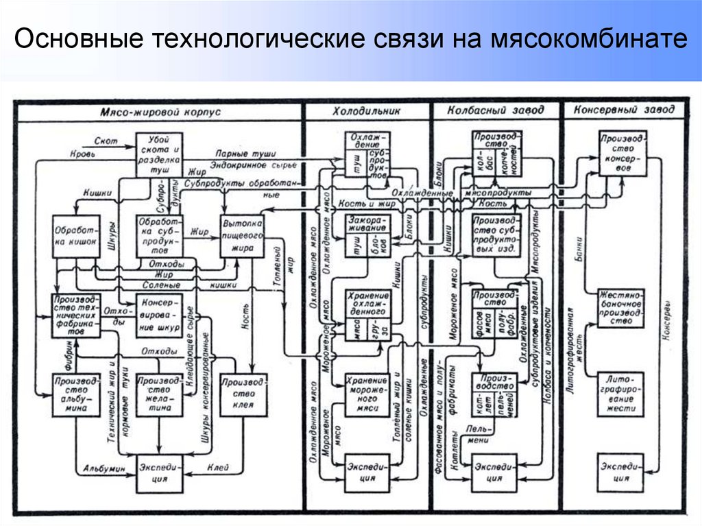 Основные технологические связи на мясокомбинате