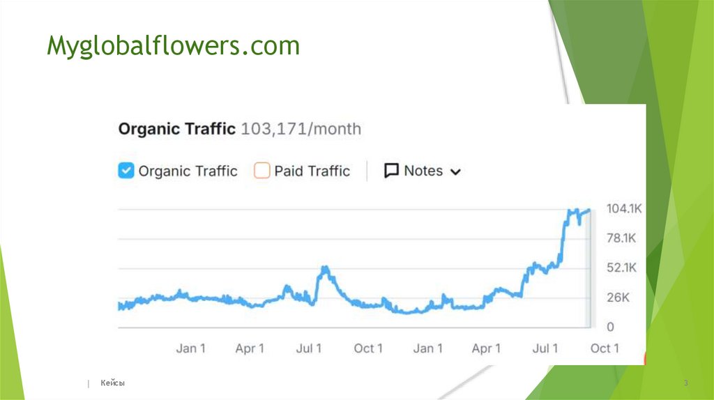 Myglobalflowers.com