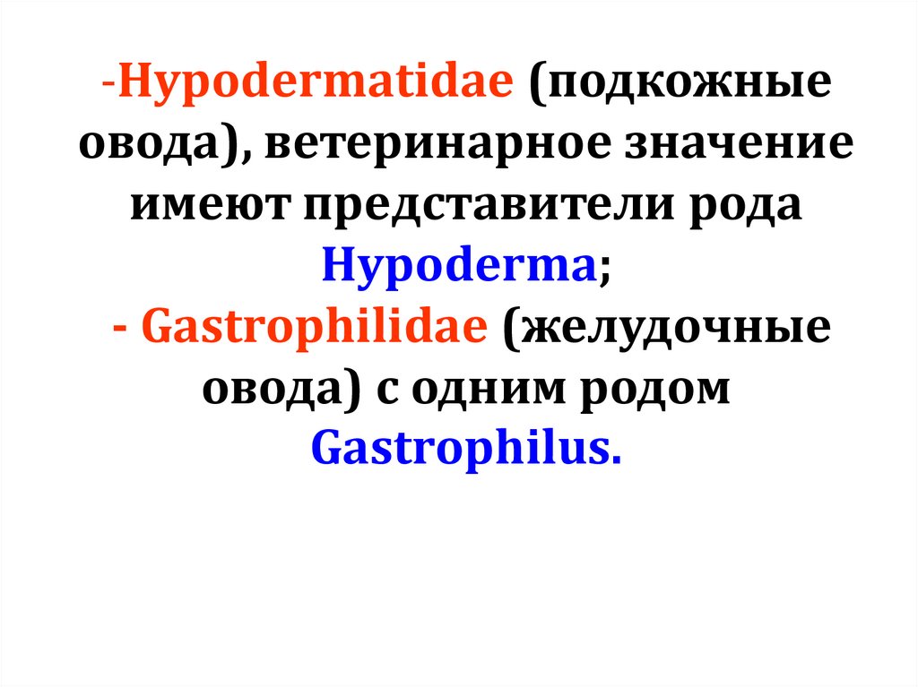 Hypodermatidae (подкожные овода), ветеринарное значение имеют представители рода Hypoderma; - Gastrophilidae (желудочные овода)