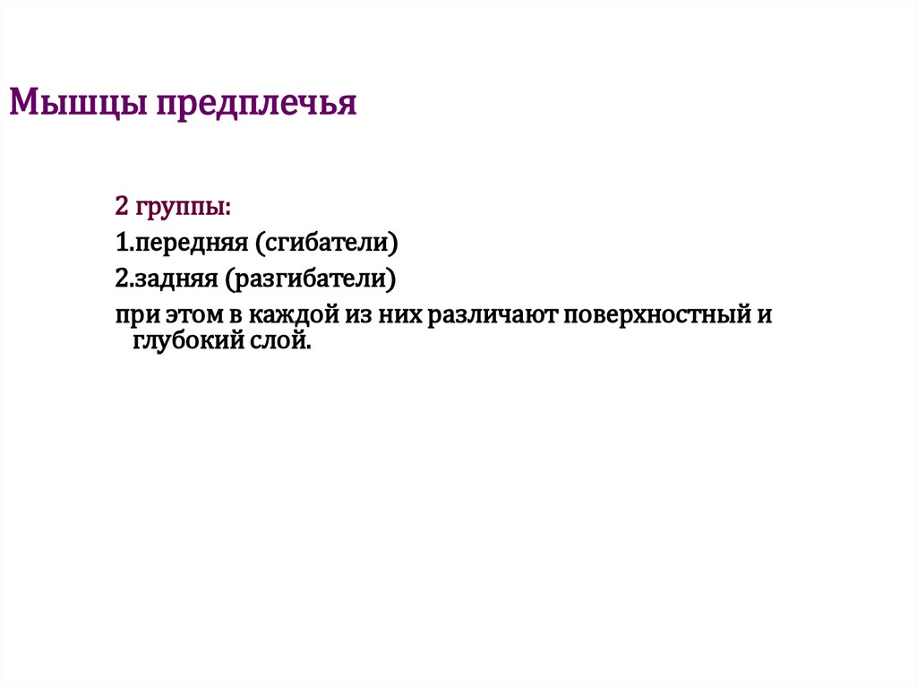 Мышцы предплечья