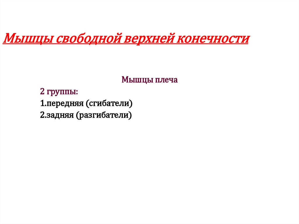 Мышцы свободной верхней конечности