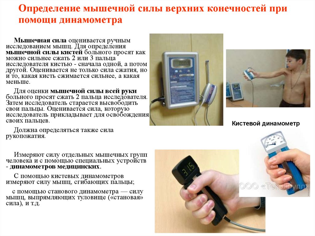 Определение мышечной силы верхних конечностей при помощи динамометра