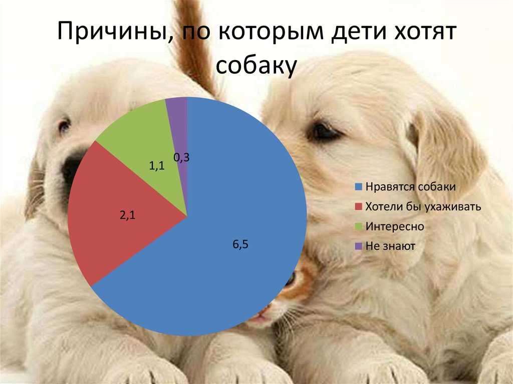 Причины, по которым дети хотят собаку