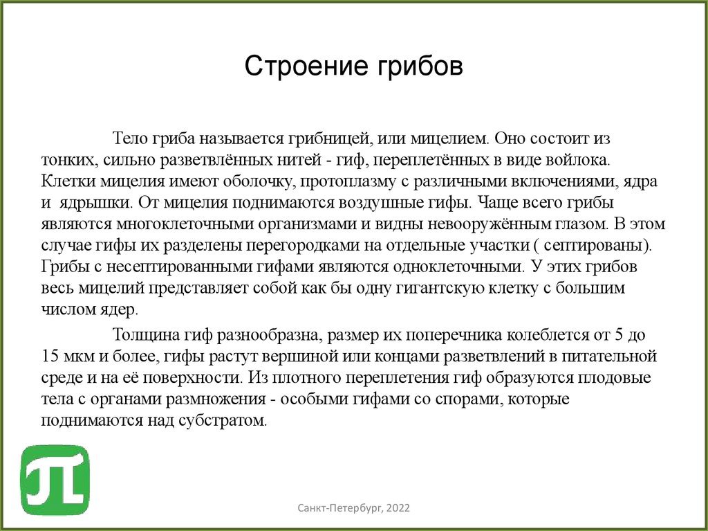 Строение грибов