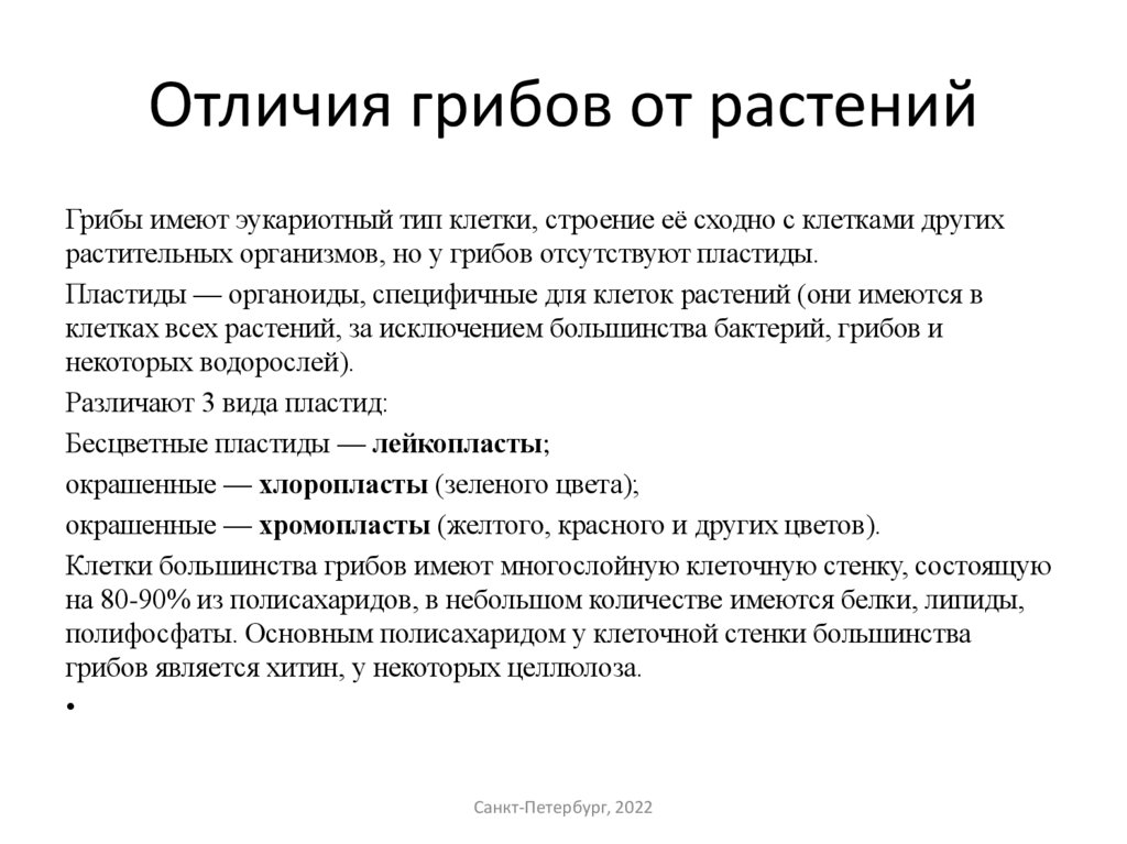 Отличия грибов от растений