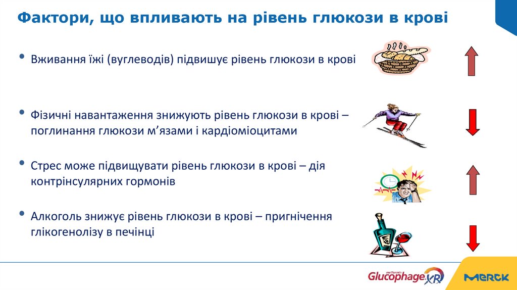Фактори, що впливають на рівень глюкози в крові