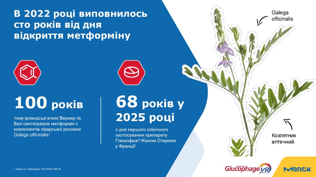 В 2022 році виповнилось сто років від дня відкриття метформіну