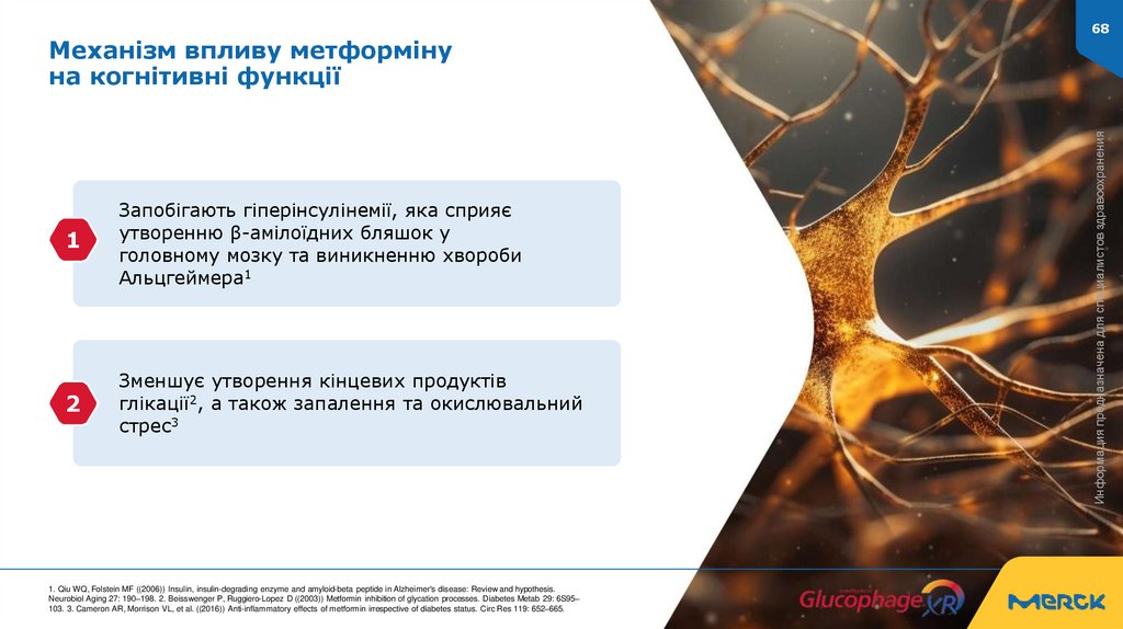 Механізм впливу метформіну на когнітивні функції