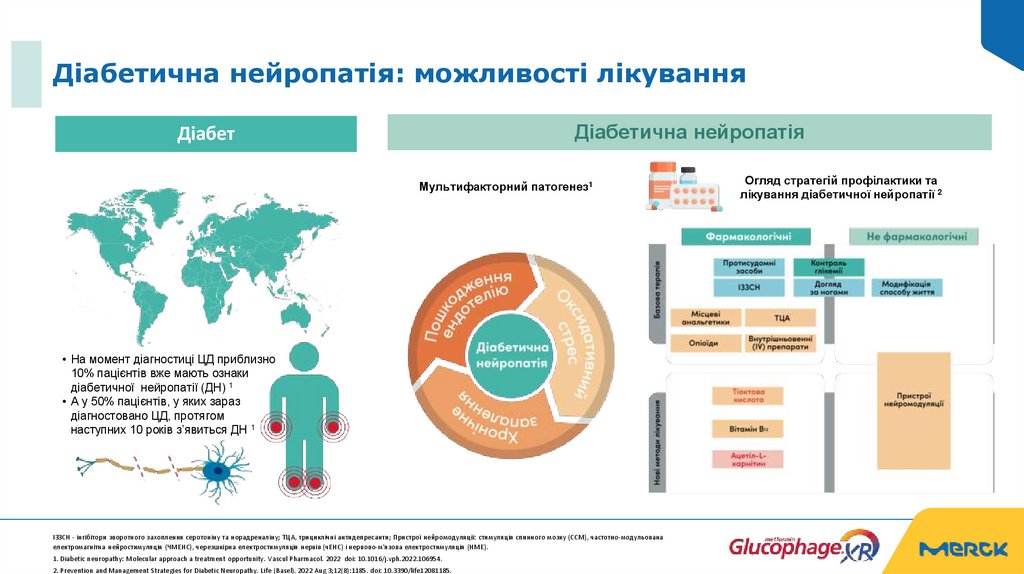 Діабетична нейропатія: можливості лікування