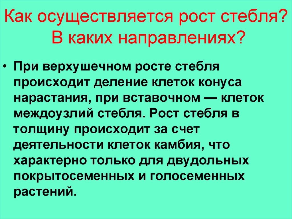 Как осуществляется рост стебля? В каких направлениях?