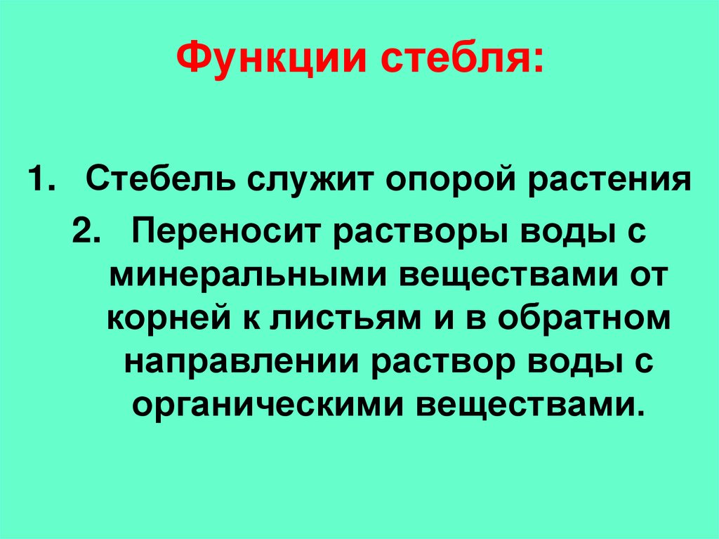 Функции стебля: