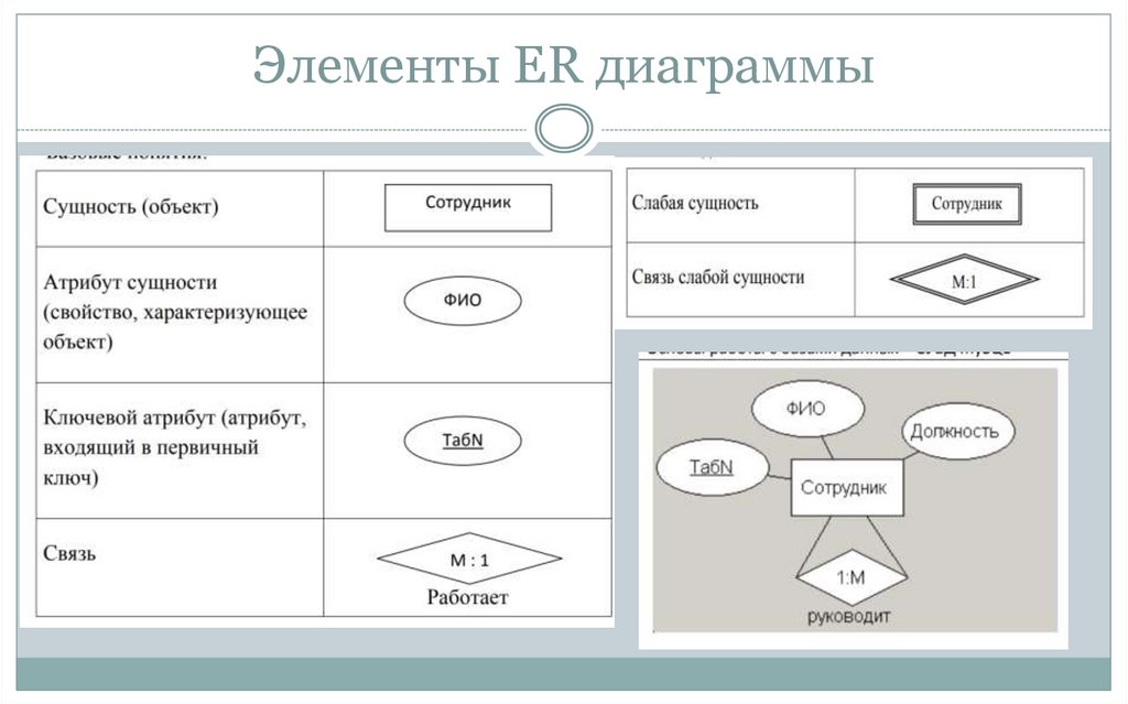 Элементы ER диаграммы