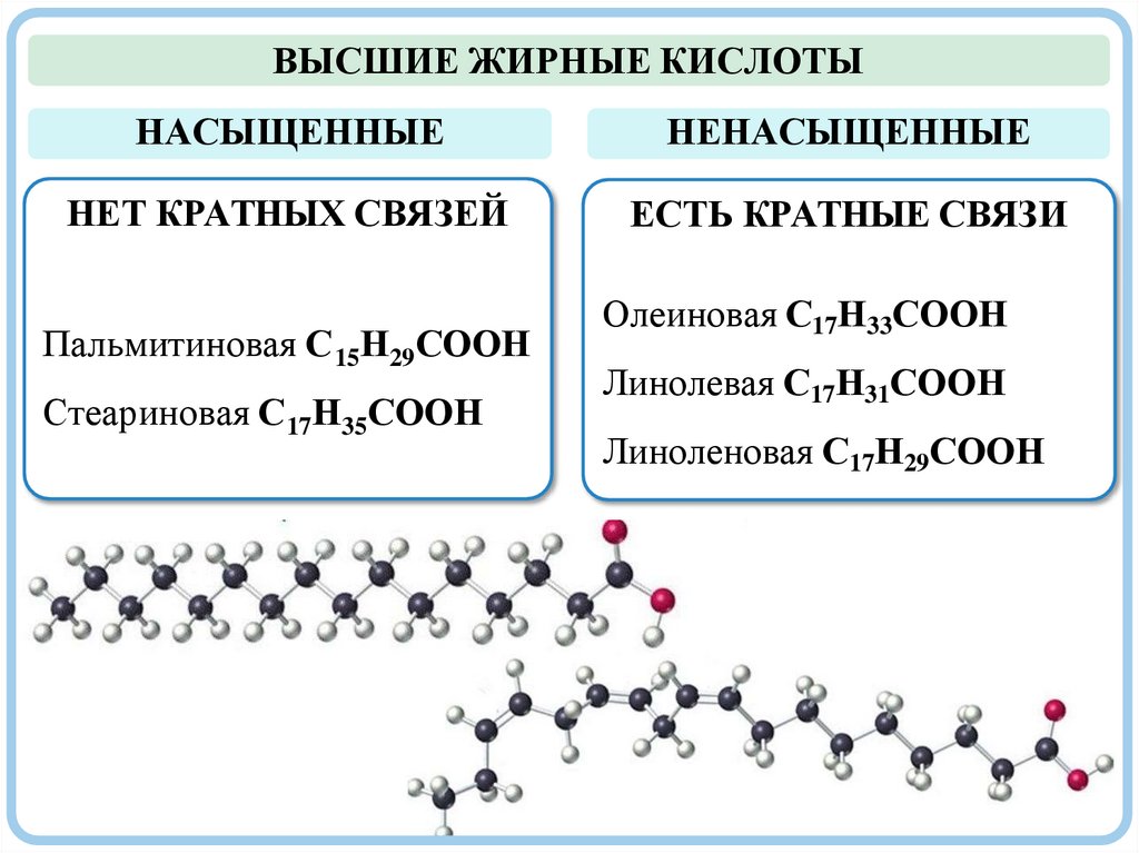 ВЫСШИЕ ЖИРНЫЕ КИСЛОТЫ НАСЫЩЕННЫЕ НЕНАСЫЩЕННЫЕ НЕТ КРАТНЫХ СВЯЗЕЙ ЕСТЬ КРАТНЫЕ СВЯЗИ