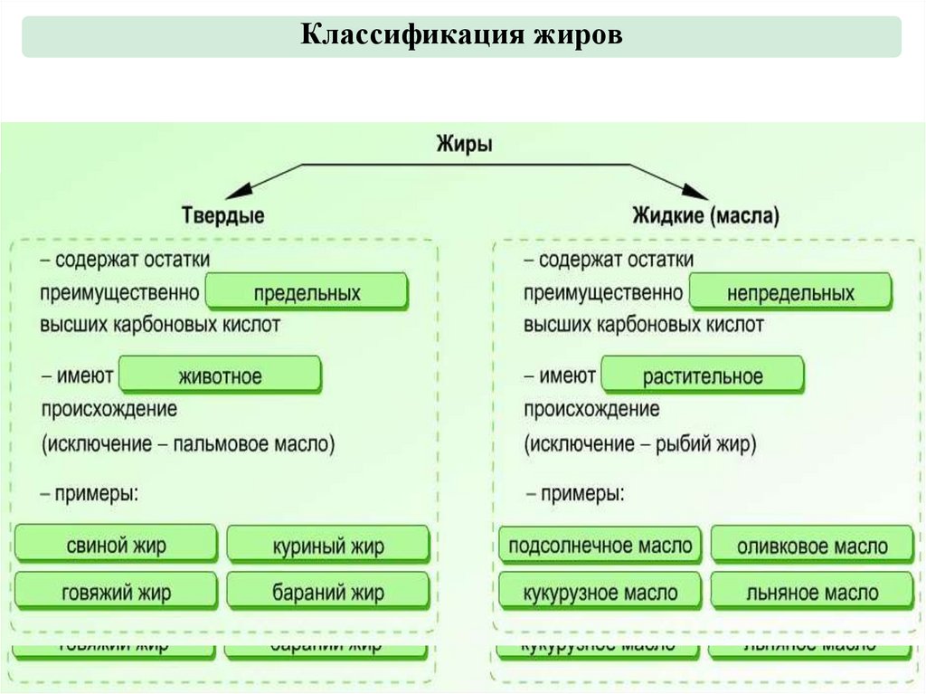 Классификация жиров