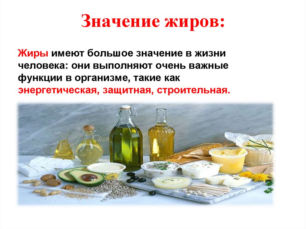 Значение жиров: