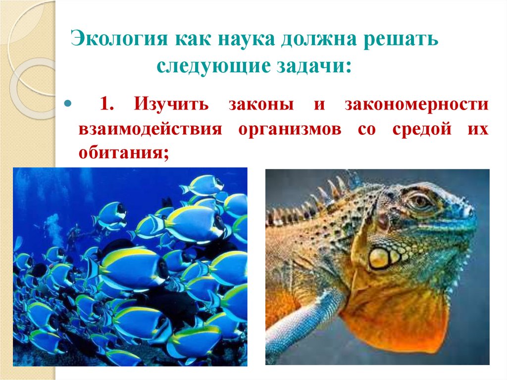 Экология как наука должна решать следующие задачи: