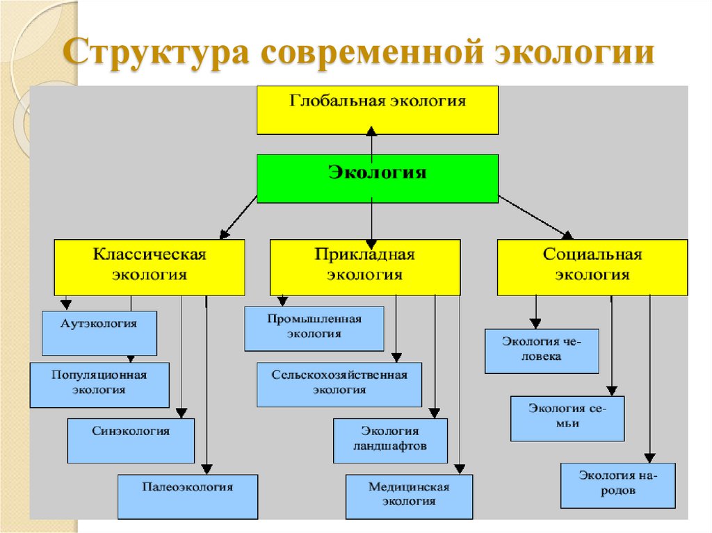 Структура современной экологии