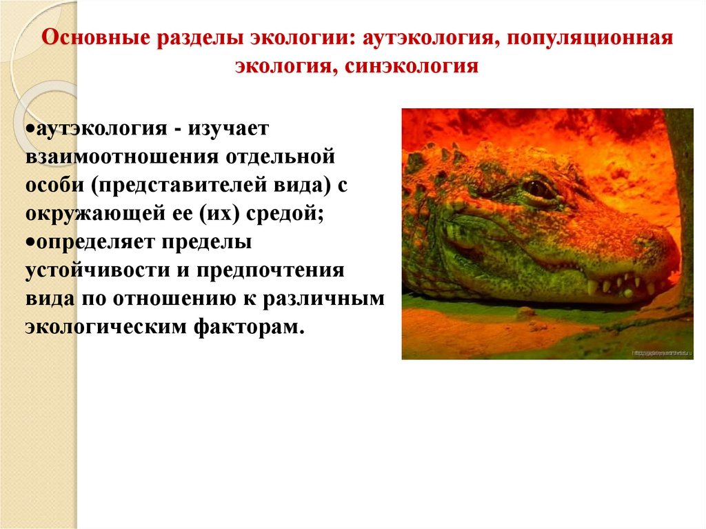 Основные разделы экологии: аутэкология, популяционная экология, синэкология