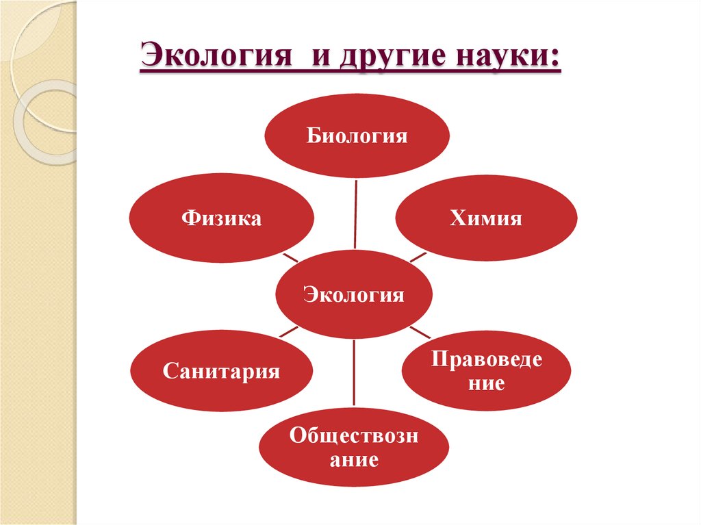 Экология и другие науки: