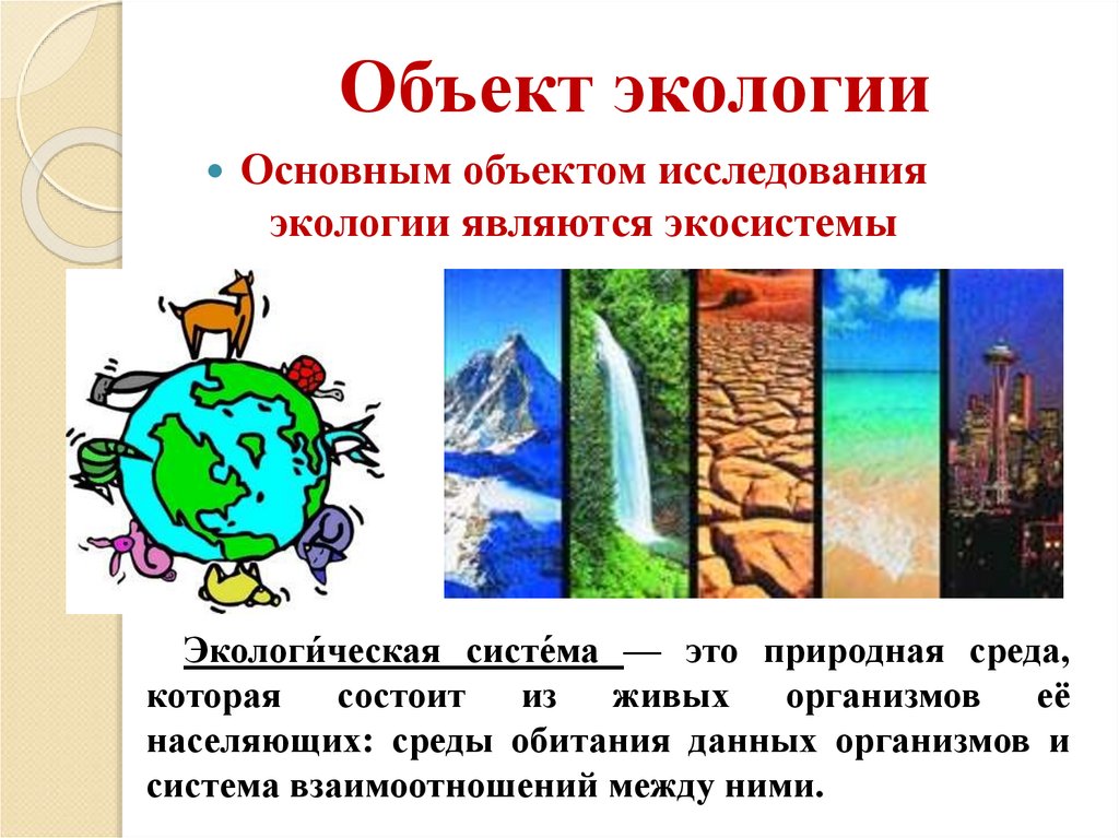 Объект экологии