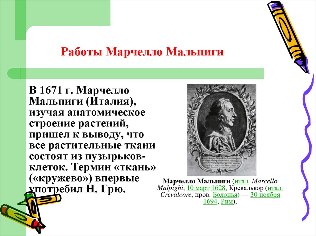 Работы Марчелло Мальпиги