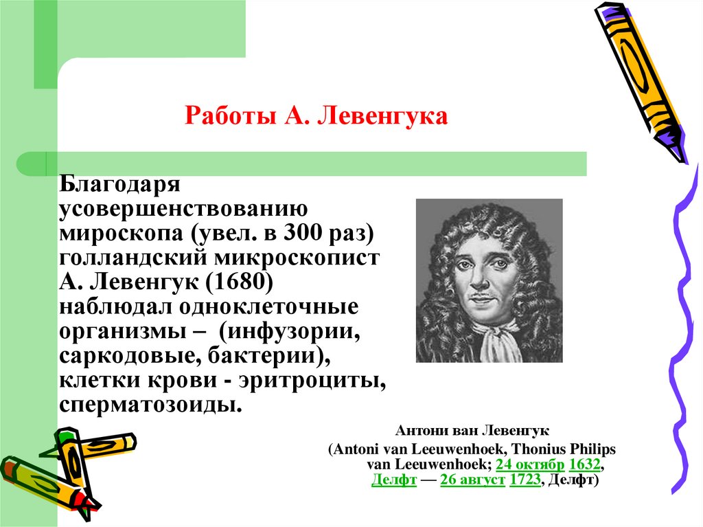 Работы А. Левенгука