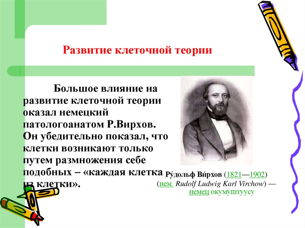 Развитие клеточной теории