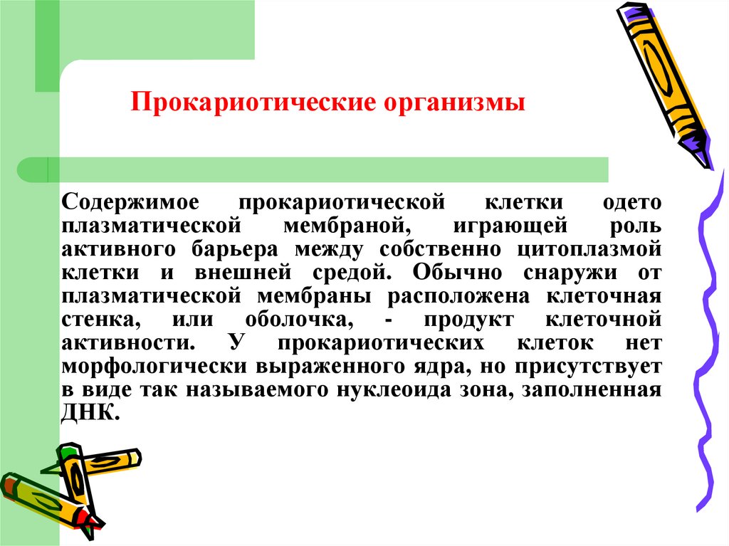 Общее понятие о клетке. Что такое клетка?