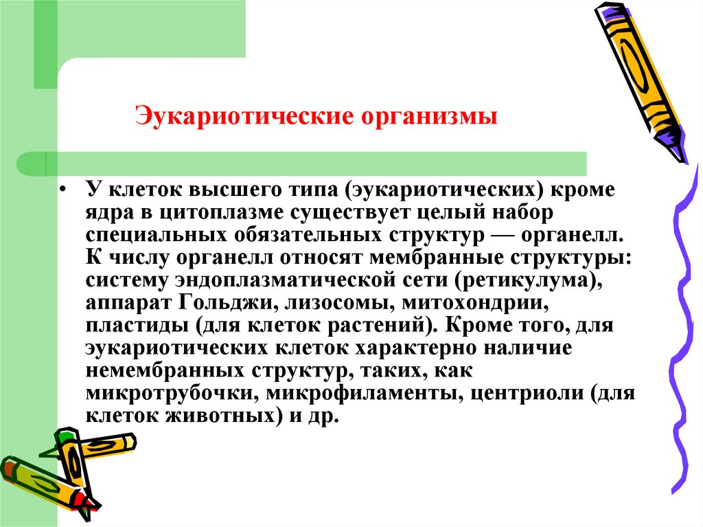 Прокариотические организмы