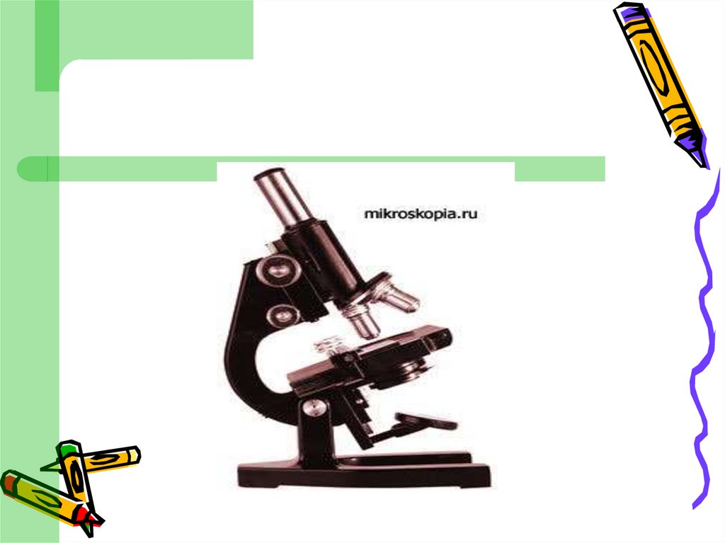 Метод световой микроскопии