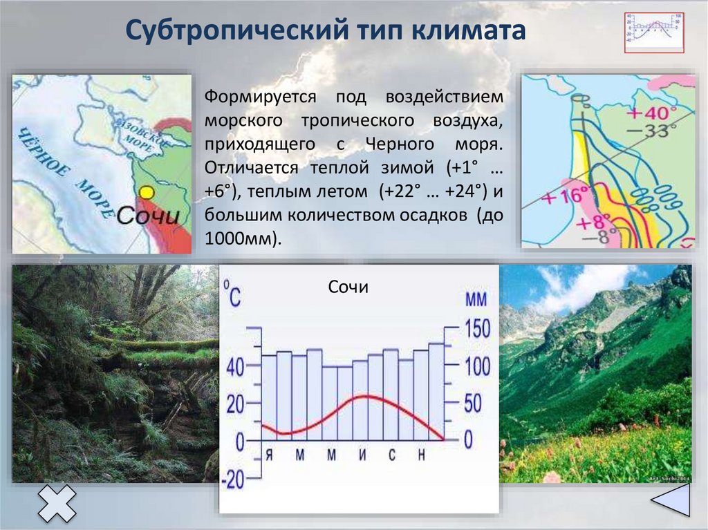 Субтропический тип климата