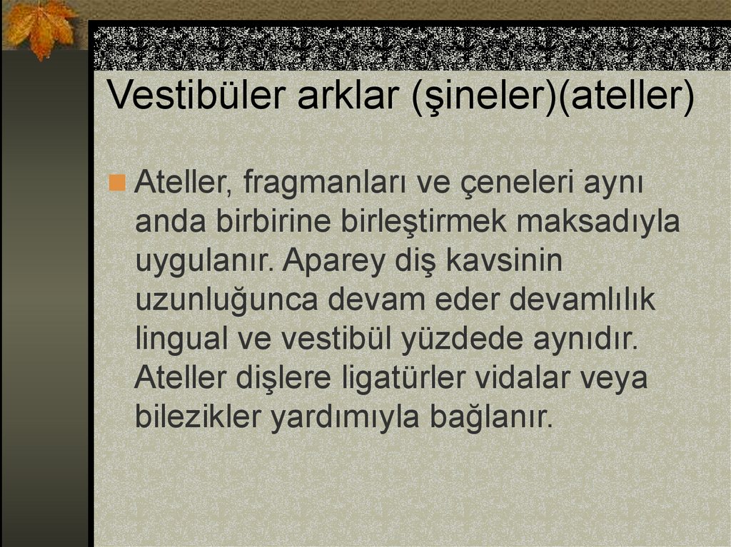 Vestibüler arklar (şineler)(ateller)
