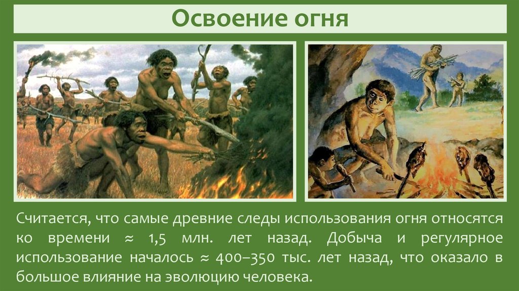 Освоение огня