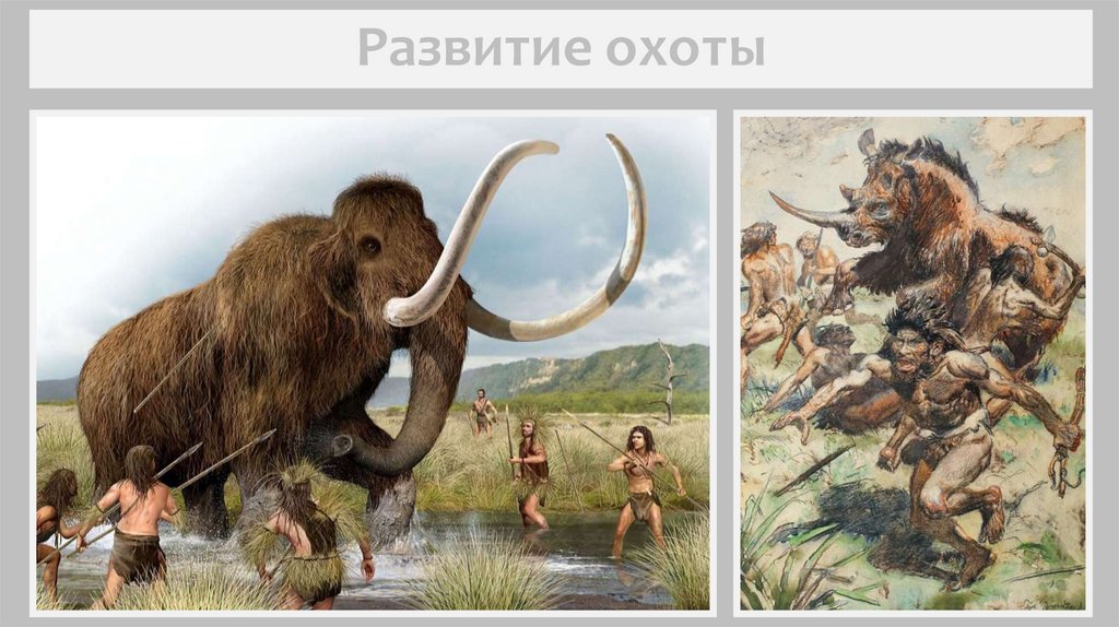 Развитие охоты