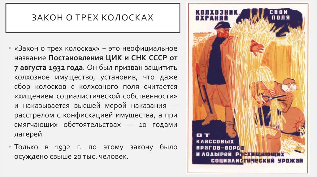 Закон о трех колосках