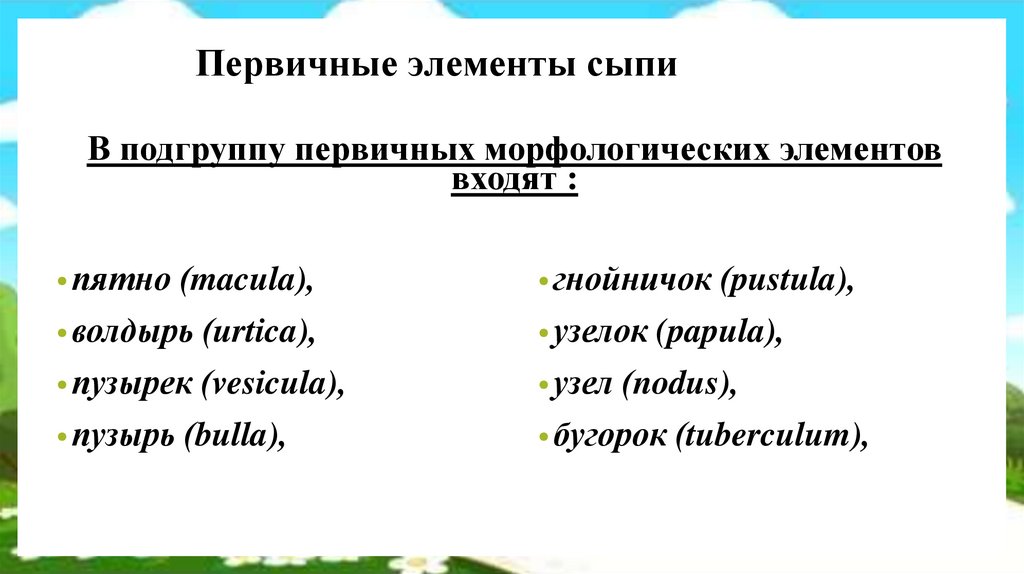 Первичные элементы сыпи